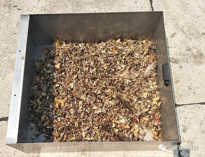 抗戰(zhàn)妖蛾，蟲口奪糧，云飛科技在行動！
